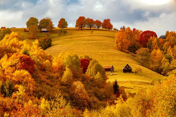 Group Sheep Pastzing Beautiful Autumn Hill Romanian Mountains Fantanele Village — стоковое фото