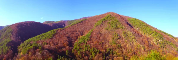 森の中の美しい秋の風景 ルーマニアの山 シビウ郡 — ストック写真