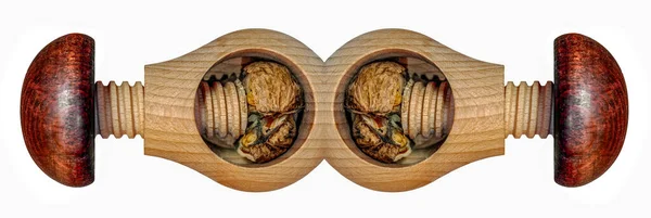 Nut Cracker Dřevěné Houby Tvarované — Stock fotografie
