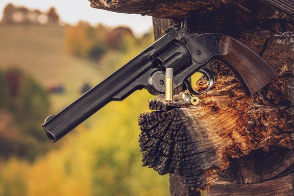Pneumatic pistol revolver for sports and entertainment on autumn background