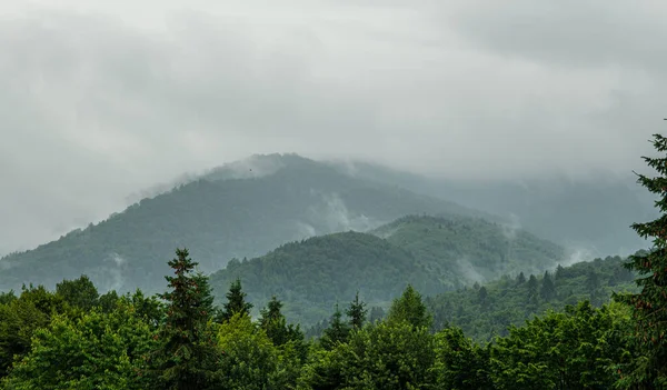 Pioggia Nelle Montagne Foresta Appannata Nebbia Mistica Pesante Montagne Rumene — Foto Stock