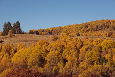 Romanya dağlarındaki güzel sonbahar manzaraları, Fantanele köyü bölgesi, Sibiu ilçesi, Cindrel dağları, Romanya
