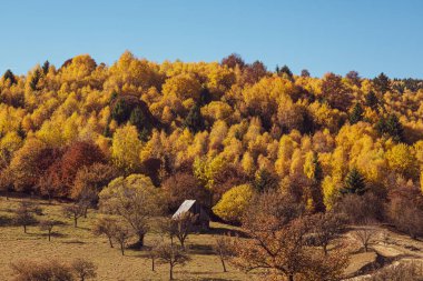 Romanya dağlarındaki güzel sonbahar manzaraları, Fantanele köyü bölgesi, Sibiu ilçesi, Cindrel dağları, Romanya