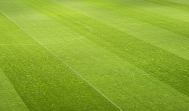 empty football stadium stripe grass