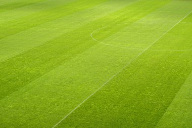 empty football stadium stripe grass