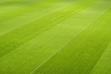 empty football stadium stripe grass clipart