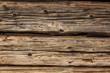 old rustic wooden planks eaten by caries