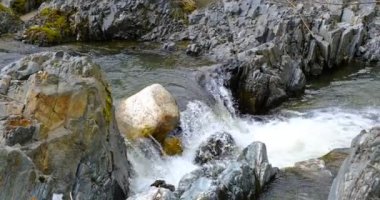 Romanya 'nın Sibiu kentindeki Cindrel dağlarındaki taşların arasından bir dağ nehri akıyor