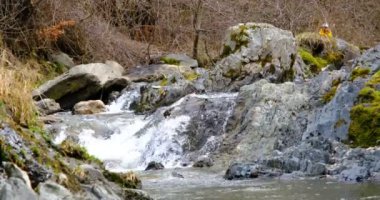 Romanya 'nın Sibiu kentindeki Cindrel dağlarındaki taşların arasından bir dağ nehri akıyor