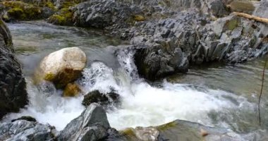 Romanya 'nın Sibiu kentindeki Cindrel dağlarındaki taşların arasından bir dağ nehri akıyor