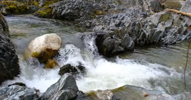 Une Rivière Montagne Coule Entre Les Rochers Cascade Montagnes Cindrel — Video