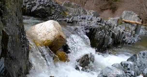 Une Rivière Montagne Coule Entre Les Rochers Cascade Montagnes Cindrel — Video