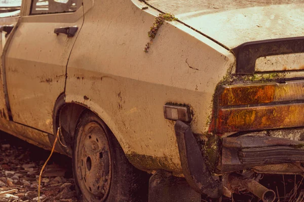 Старый Автомобиль Брошенный Лесу — стоковое фото