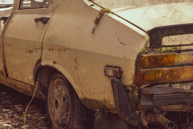 Ormanda terkedilmiş eski araba