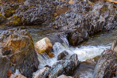 Romanya 'nın Sibiu kentindeki Cindrel dağlarındaki taşların arasından bir dağ nehri akıyor