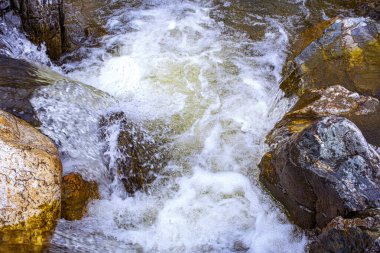 Romanya 'nın Sibiu kentindeki Cindrel dağlarındaki taşların arasından bir dağ nehri akıyor