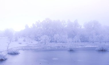Romanya 'nın Sibiu kentinde kış mevsimi