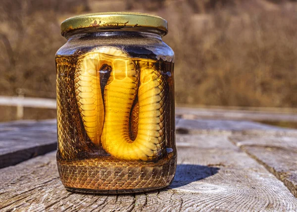 Alkoholtartalmú Ital Kígyós Tinktúra — Stock Fotó