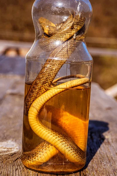 Bebida Alcoólica Tintura Usando Uma Cobra — Fotografia de Stock