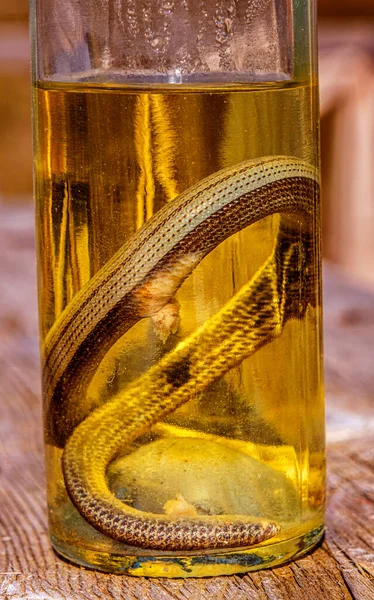 Bebida Alcoólica Tintura Usando Uma Cobra — Fotografia de Stock