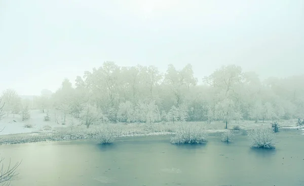 ルーマニア シビウ市の公園での冬の時間 — ストック写真
