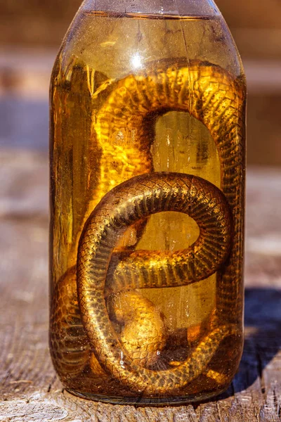 Алкогольний Напій Настойка Використанням Змії — стокове фото