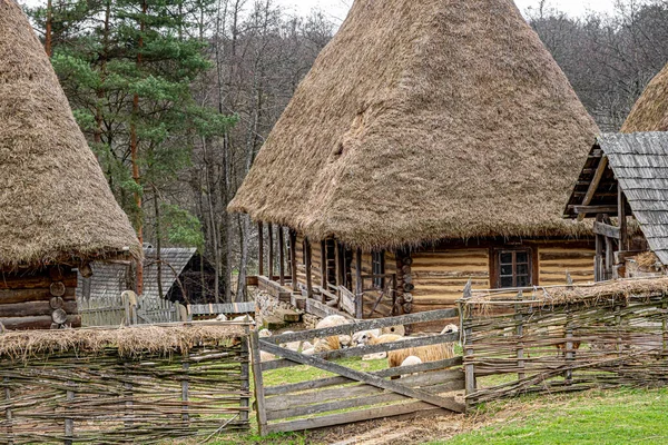 Indah Pedesaan Dari Rumania Rumah Tradisional — Stok Foto