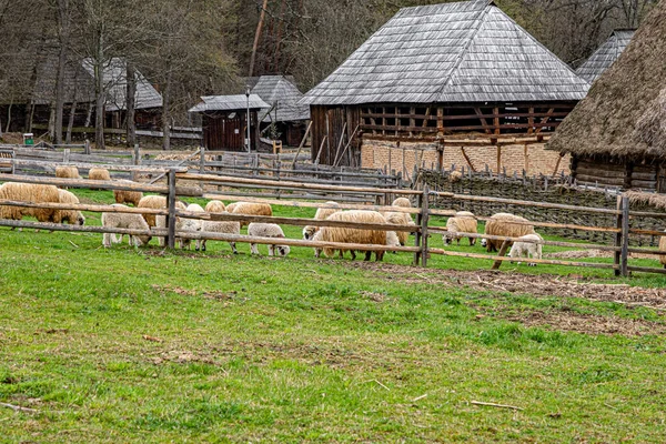 stock image Wonderful rural scene of Romanian traditional house