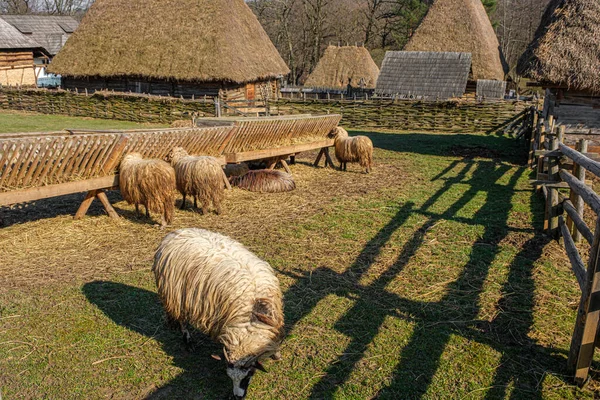 Wspaniała Scena Wiejska Rumuńskiego Tradycyjnego Domu — Zdjęcie stockowe