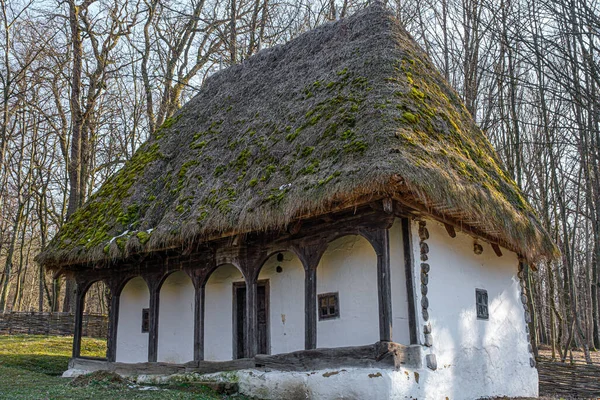 Magnifique Scène Rurale Maison Traditionnelle Roumaine — Photo
