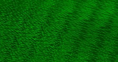 Soyut yeşil parlayan parçacık hareketi, 4k dci