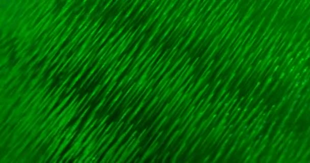 Movimiento Partículas Brillante Verde Abstracto Dci — Vídeos de Stock