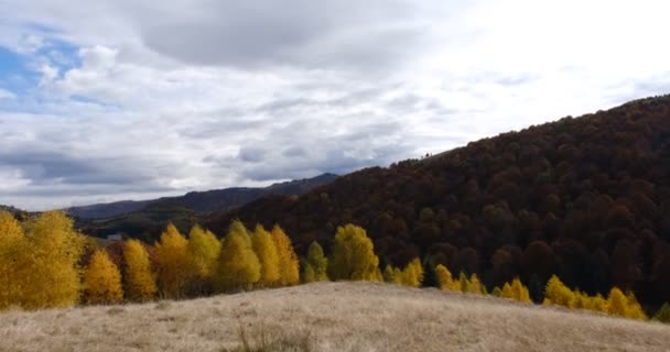Красивые Осенние Пейзажи Румынских Горах Район Деревни Фантанеле Округ Сибиу — стоковое видео