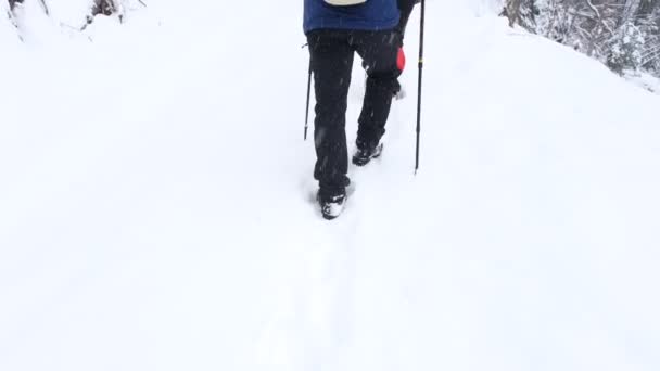 Hombre Camina Través Nieve Nieve Vista Trasera — Vídeo de stock