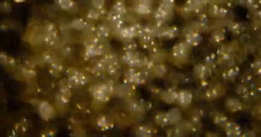 Altın parıltılı arka plan. Gerçek altın parçacıkları ile güzel bir geçiş. Siyah zemin üzerinde rüzgarda uçan, alanın derinliğiyle çekilen.