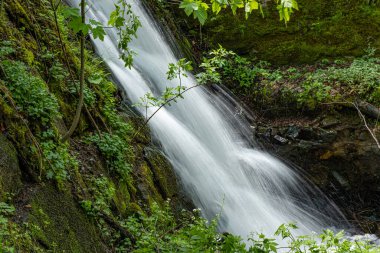 Romanya 'nın Cindrel dağlarında güzel şelale