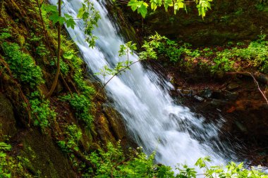 Romanya 'nın Cindrel dağlarında güzel şelale