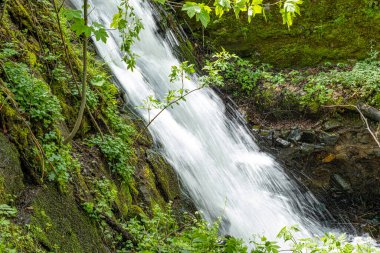 Romanya 'nın Cindrel dağlarında güzel şelale