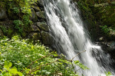 Romanya 'nın Cindrel dağlarında güzel şelale