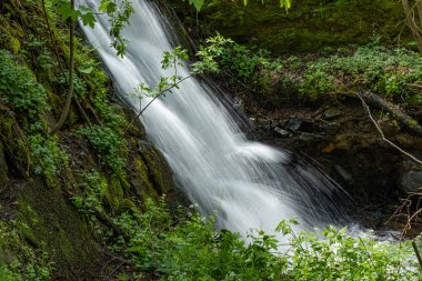 Romanya 'nın Cindrel dağlarında güzel şelale