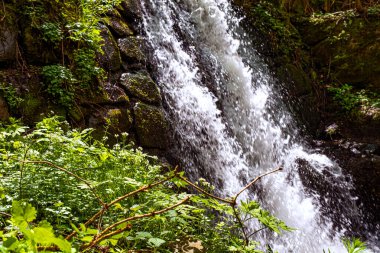 Romanya 'nın Cindrel dağlarında güzel şelale
