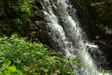 Romanya 'nın Cindrel dağlarında güzel şelale