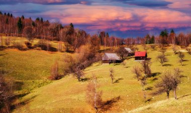 Rumen eski koyun ağılı sonbahar mevsiminde tepenin zirvesinde, Fantanele köyü, Sibiu ilçesi, Cindrel dağları, 1100 metre, Romanya