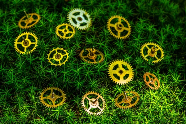 绿色苔藓上精密设计的齿形黄铜齿轮 — 图库照片
