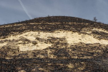 Tepelerde yanan kuru bitkiler.