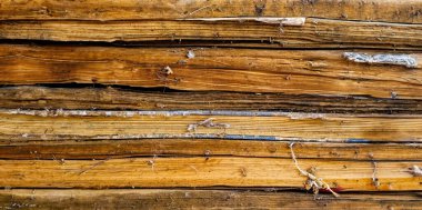 Eski kitapların yakın görünümü