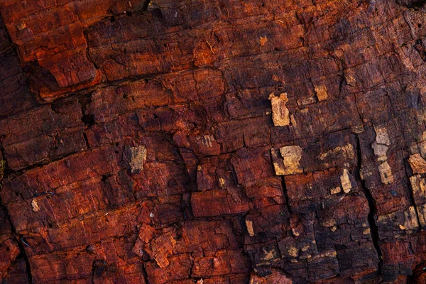 Çürümüş Kereste Arkaplanı Gün Işığında Tam Çerçeve — Stok fotoğraf