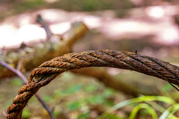Viejo Cable Oxidado Bosque — Foto de Stock