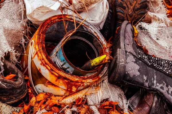 Old Shoes Paint Cans Thrown Nature — Stock Photo, Image