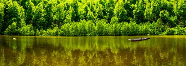 Ufer Des Sees Der Nähe Des Waldes Mit Alten Boot — Stockfoto